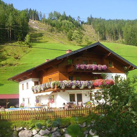 Untersteinhof Apartment Форстау Екстериор снимка
